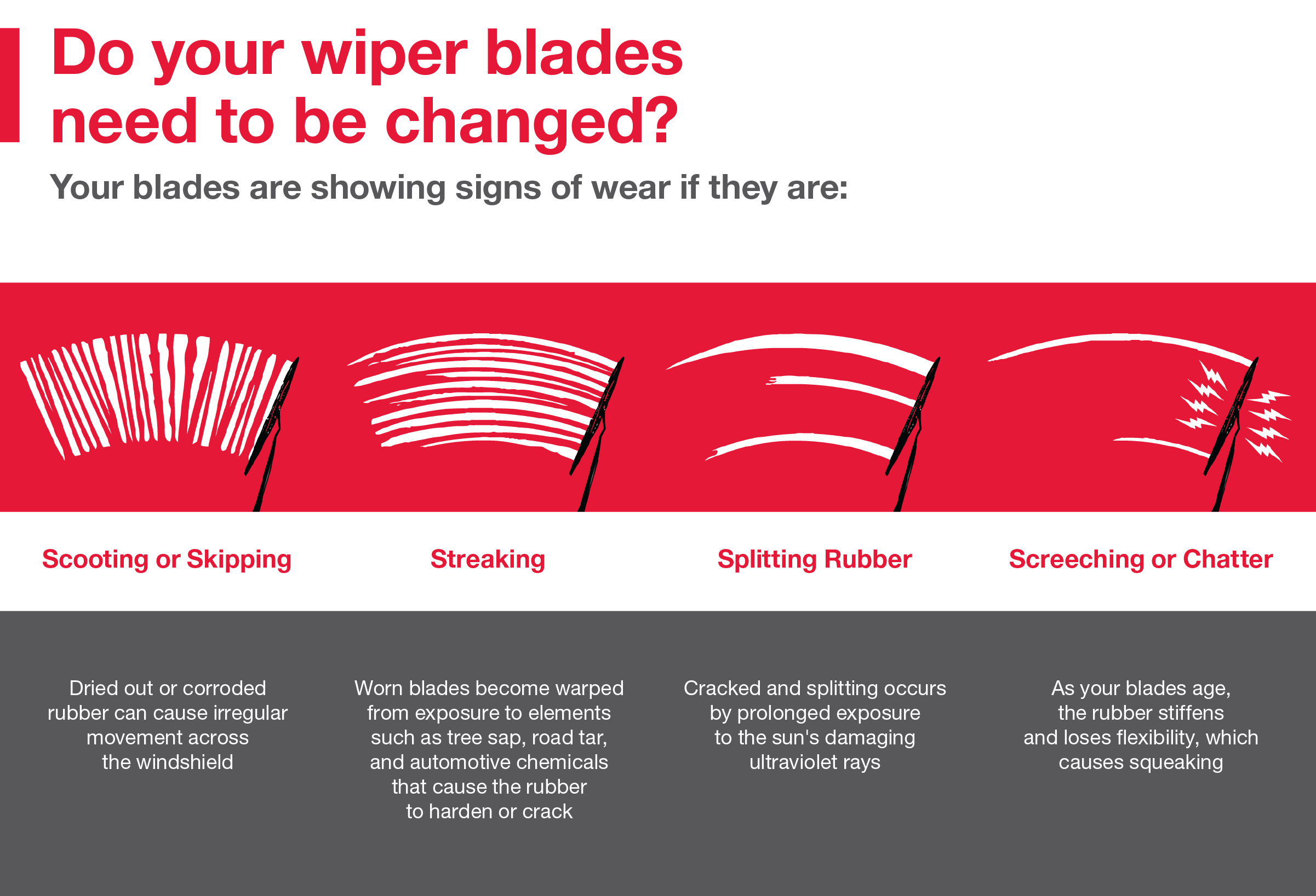 Do your wiper blades need to be changed | Toyota Vallejo in Vallejo CA