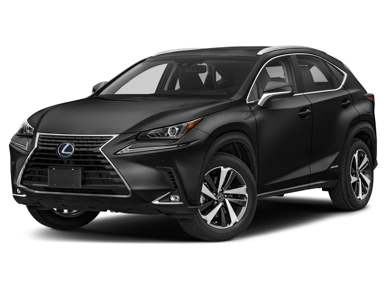 2021 Lexus NX 350h 300h AWD's photo
