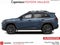 2026 Toyota RAV4 Plug-in Hybrid Woodland
