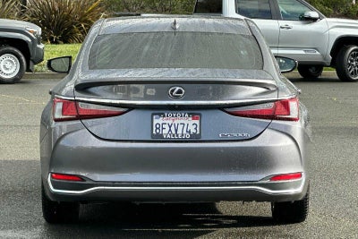 2019 Lexus ES 300h Luxury 4D Sedan