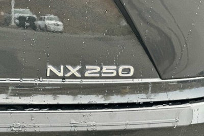 2024 Lexus NX NX 250