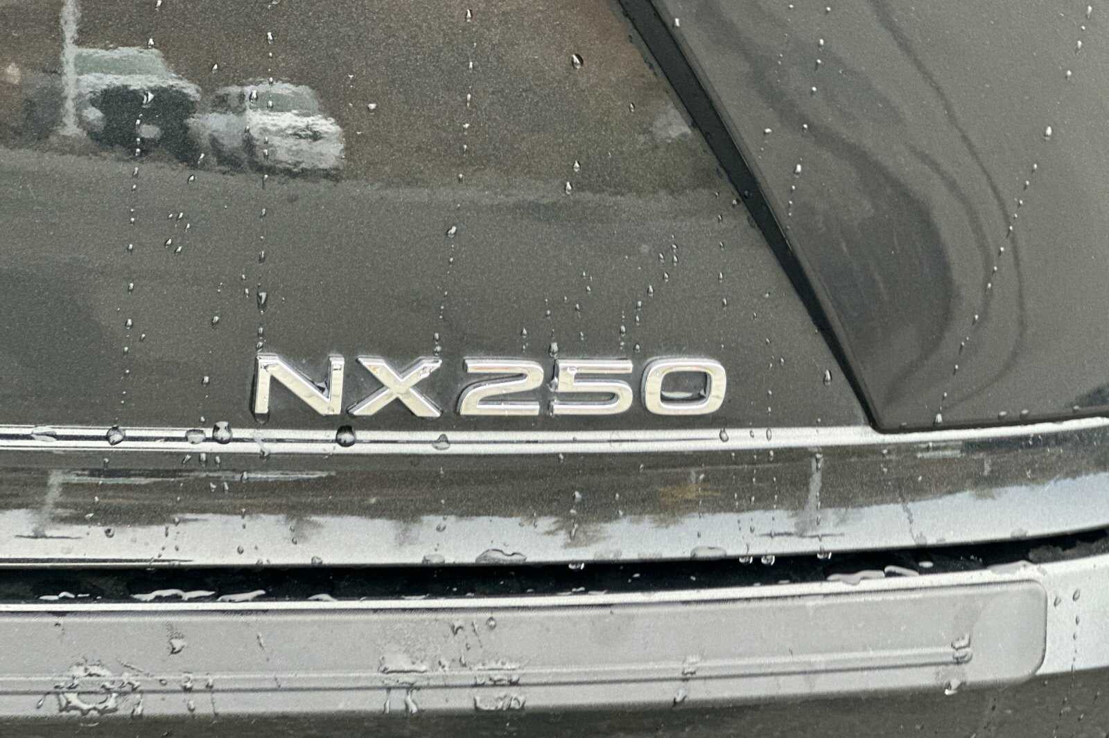 2024 Lexus NX NX 250