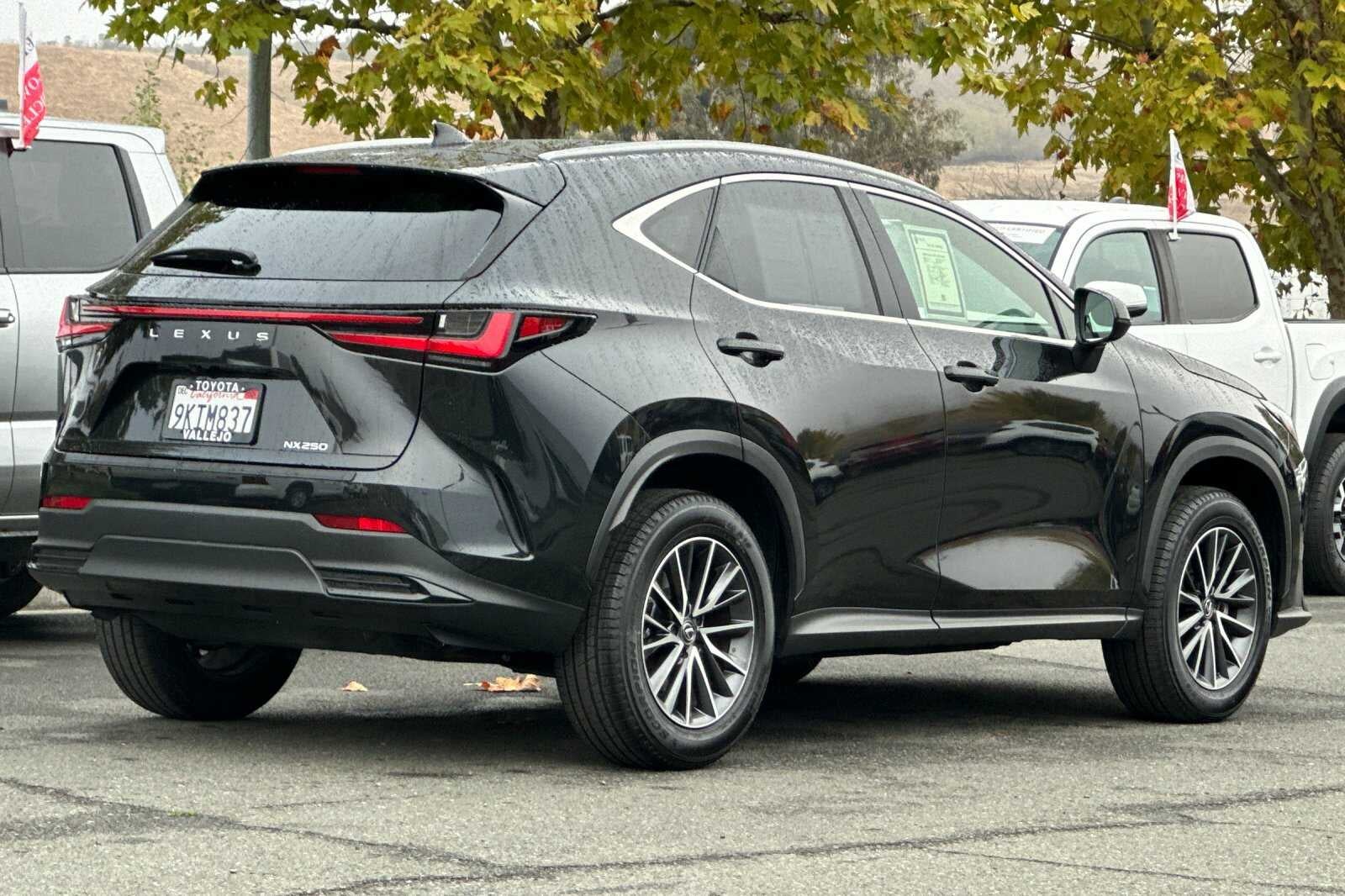 2024 Lexus NX NX 250