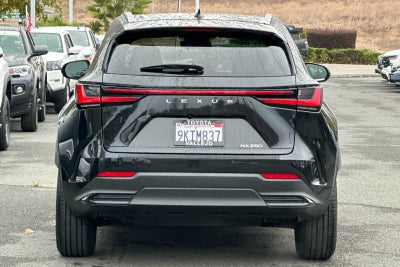 2024 Lexus NX NX 250