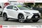 2021 Lexus NX NX 300