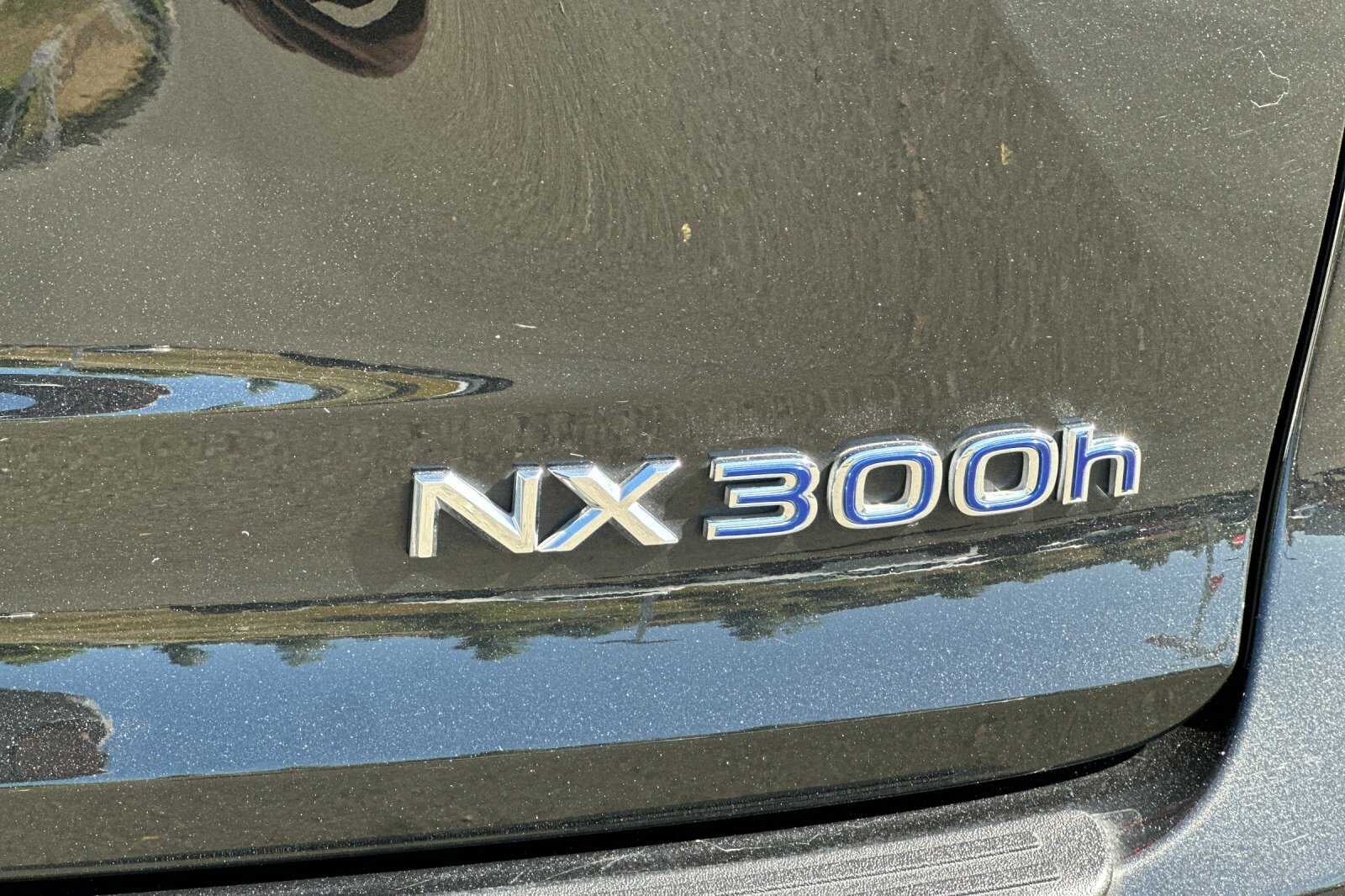 2021 Lexus NX NX 300h