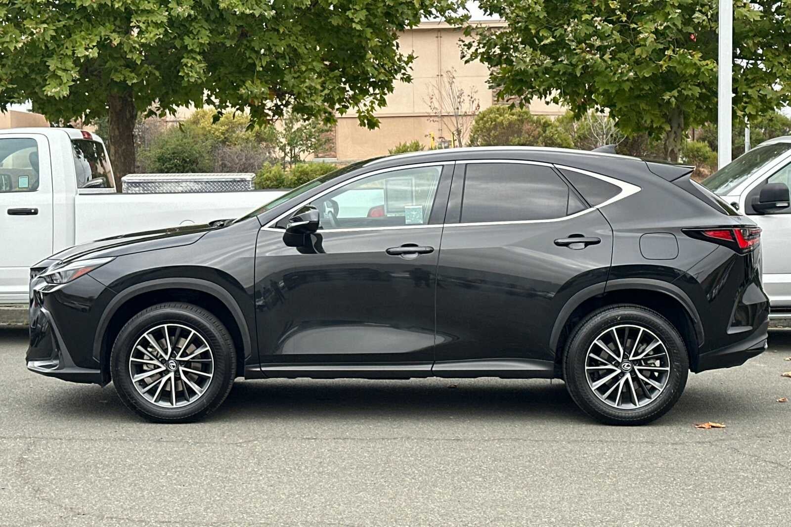 2024 Lexus NX NX 350h Premium