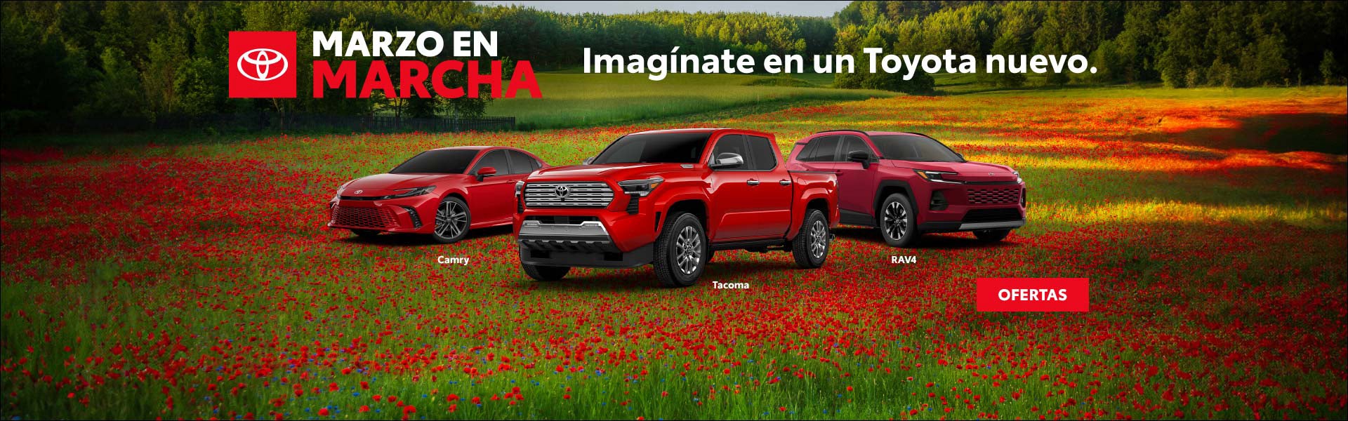 Toyota, Camry, Tacoma, RAV4